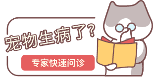 專家快速谘詢
